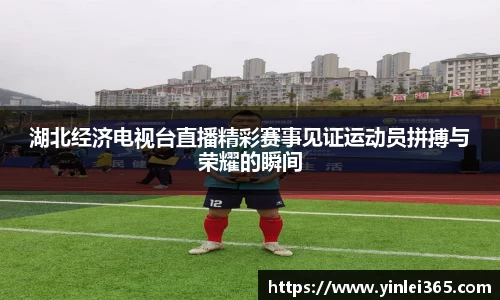 mk体育