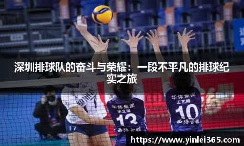 mk体育官网