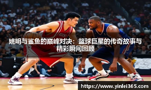 mk体育