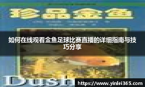 如何在线观看金鱼足球比赛直播的详细指南与技巧分享